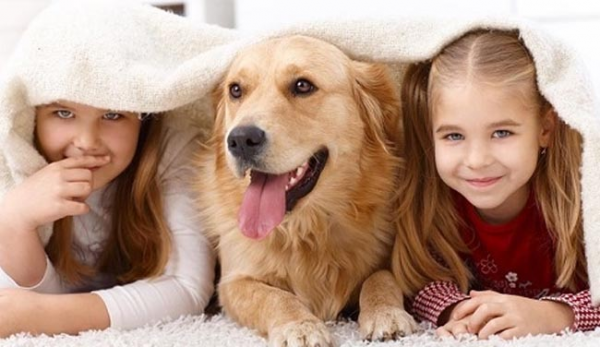 Bật mí cách để giảm mùi hôi ở chó nhanh nhất không nên bỏ qua
